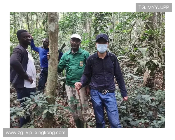 加蓬体育基础设施不断改善升级,加蓬环境 加蓬体育基础设施不断改善升级,加蓬环境